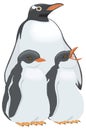 gentoo family penguin bird vector illustration transparent background