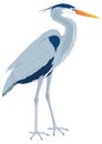 great blue heron stand bird vector illustration transparent background Royalty Free Stock Photo