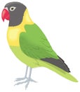lovebird stand bird vector illustration transparent background