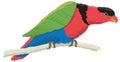rainbow lory lorikeet bird vector illustration transparent background