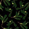 Abstract seamless tropical pattern with dark green colorful leaves on black background. Seamless exotic pattern with leaves. Royalty Free Stock Photo
