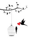 Bird cage on branch and flying bird silhouette isolated on white background Royalty Free Stock Photo