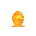 Illustration graphic vector design cartoon chicken eggs that hatch