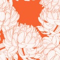 Seamless pattern with a orange line Chrysanthemum Flowers natural ornament. Floral seamless pattern on white background. Royalty Free Stock Photo