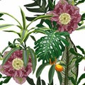 Blooming hellebore flowers. Floral seamless pattern. Winter rose. Lenten Rose with with many kind of tropical palm leaves. Royalty Free Stock Photo