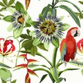 Seamless tropical palm leaves, Passiflora flowers, red ara parrot bird. Jungle leaves  floral pattern background. Royalty Free Stock Photo