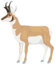 antelope deer run animal vector illustration transparent background