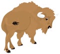 Brown Bison Animal Vector Illustration Transparent Background
