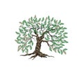 Jujube tree logo design image