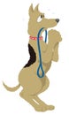 funny dog beg animal vector illustration transparent background