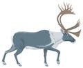 reindeer caribou animal vector illustration transparent background