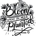 Bloom Where You Are Planted