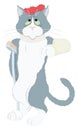 cat fracture hospital sick animal vector illustration transparent background