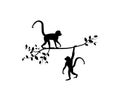 Monkey silhouette hanging on tree, vector