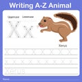 Illustrator of writing a - z animal x xerus