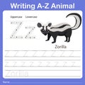 Illustrator of writing a - z animal z zorilla