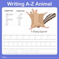 Illustrator of writing a - z animal f flying squirrel