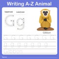 Illustrator of writing a - z animal g gibbon