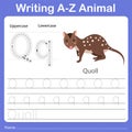 Illustrator of writing a - z animal q quoll