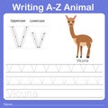 Illustrator of writing a - z animal v vicuna