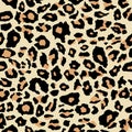 Leopard print, seamless pattern. Skin of cheetah, leopard. Fashionable fabric, elegant animal background. Vector Royalty Free Stock Photo