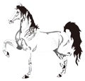 white horse stand animal vector illustration transparent background Royalty Free Stock Photo