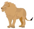 great lion watch animal vector illustration transparent background Royalty Free Stock Photo