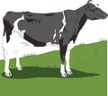milk cow animal vector illustration transparent background Royalty Free Stock Photo