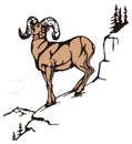 bighorn sheep animal vector illustration transparent background