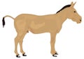 brown mule donkey animal vector illustration transparent background