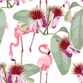 Pink flamingo, graphic palm leaves, white background. Floral seamless pattern. Tropical illustration. Royalty Free Stock Photo