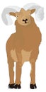 brown bighorn sheep animal vector illustration transparent background