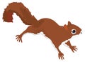 red squirrel animal vector illustration transparent background Royalty Free Stock Photo
