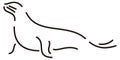 seal line art animal vector illustration transparent background