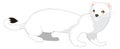 white weasel animal vector illustration transparent background Royalty Free Stock Photo