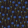 Simple Cornflower wild flowers floral seamless pattern on a black background.