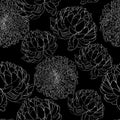 Seamless pattern with a black white line Chrysanthemum Flowers natural ornament. Royalty Free Stock Photo