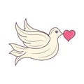 Cute Dove Bird holding heart colored vector illustration