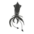 Silhouette of black squid, isolated of white background Royalty Free Stock Photo