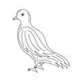 Simple dove bird Thin line vector illustration