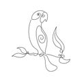 Parrot Bird Line Art Abstract Minimalist vector illustration