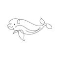 Beluga Whale Line Art vector illustration