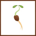 Planting seed sprout in ground. Symbol grow sapling. Green fresh plant sprout with roots vector illustration. Royalty Free Stock Photo