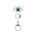 Set of colorful ophthalmology icons including eye and eyeballs with eye drops