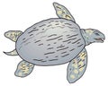 archelon sea turtle dinosaur ancient vector illustration transparent background Royalty Free Stock Photo