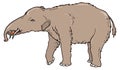 gomphotherium elephant dinosaur ancient vector illustration transparent background Royalty Free Stock Photo