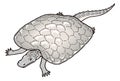 henodus turtle crocodile dinosaur ancient vector illustration transparent background