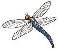meganura dragonfly dinosaur ancient vector illustration transparent background