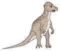pachycephalosaurus dinosaur ancient vector illustration transparent background Royalty Free Stock Photo