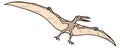 rhamphorhynchus fly dinosaur ancient vector illustration transparent background